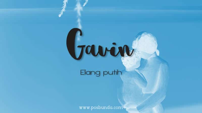 Arti Nama Gavin - Gavin