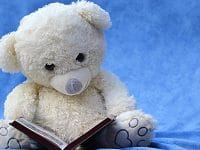Cerita Pendek Untuk Anak - Beruang dan Buku
