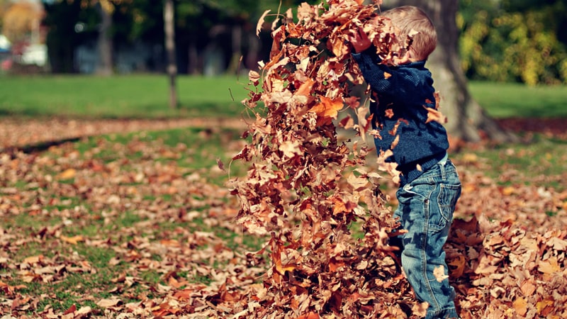 Cara Mendidik Anak Autis di Rumah - Anak Memainkan Daun-daun